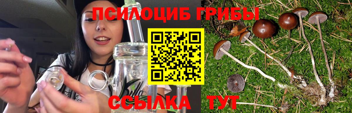 Псилоцибиновые грибы MAGIC MUSHROOMS  Вход с VPN  Урюпинск 